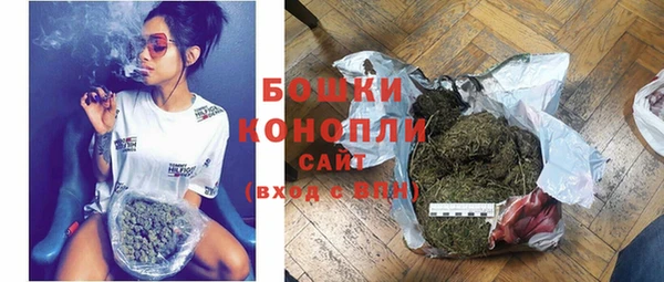 прущие грибы Арсеньев