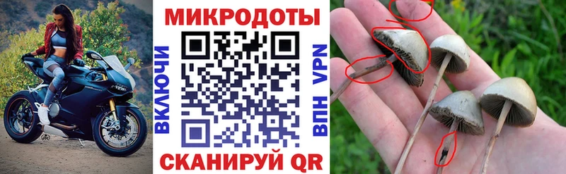 Псилоцибиновые грибы MAGIC MUSHROOMS  Кологрив 